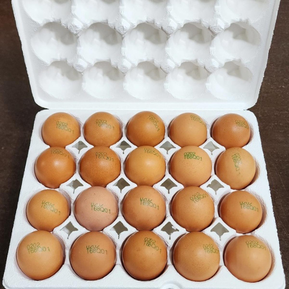 동물복지 자유방목 유정란 40구/60구