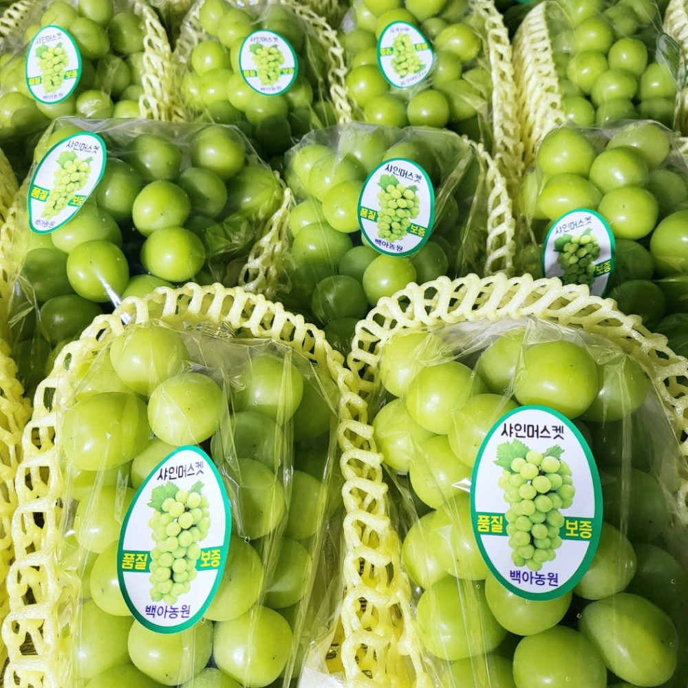 샤인머스켓 2kg/3kg/4kg