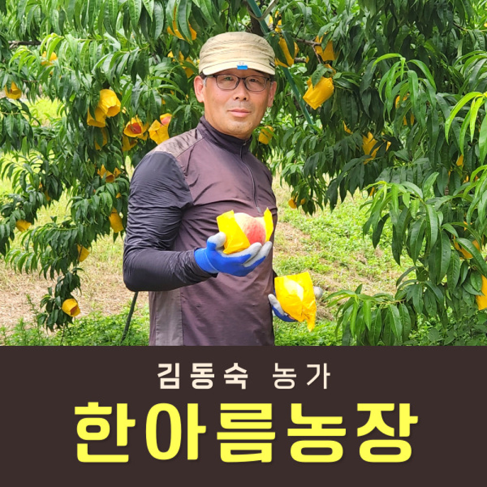 복숭아(딱복) 2kg/4kg