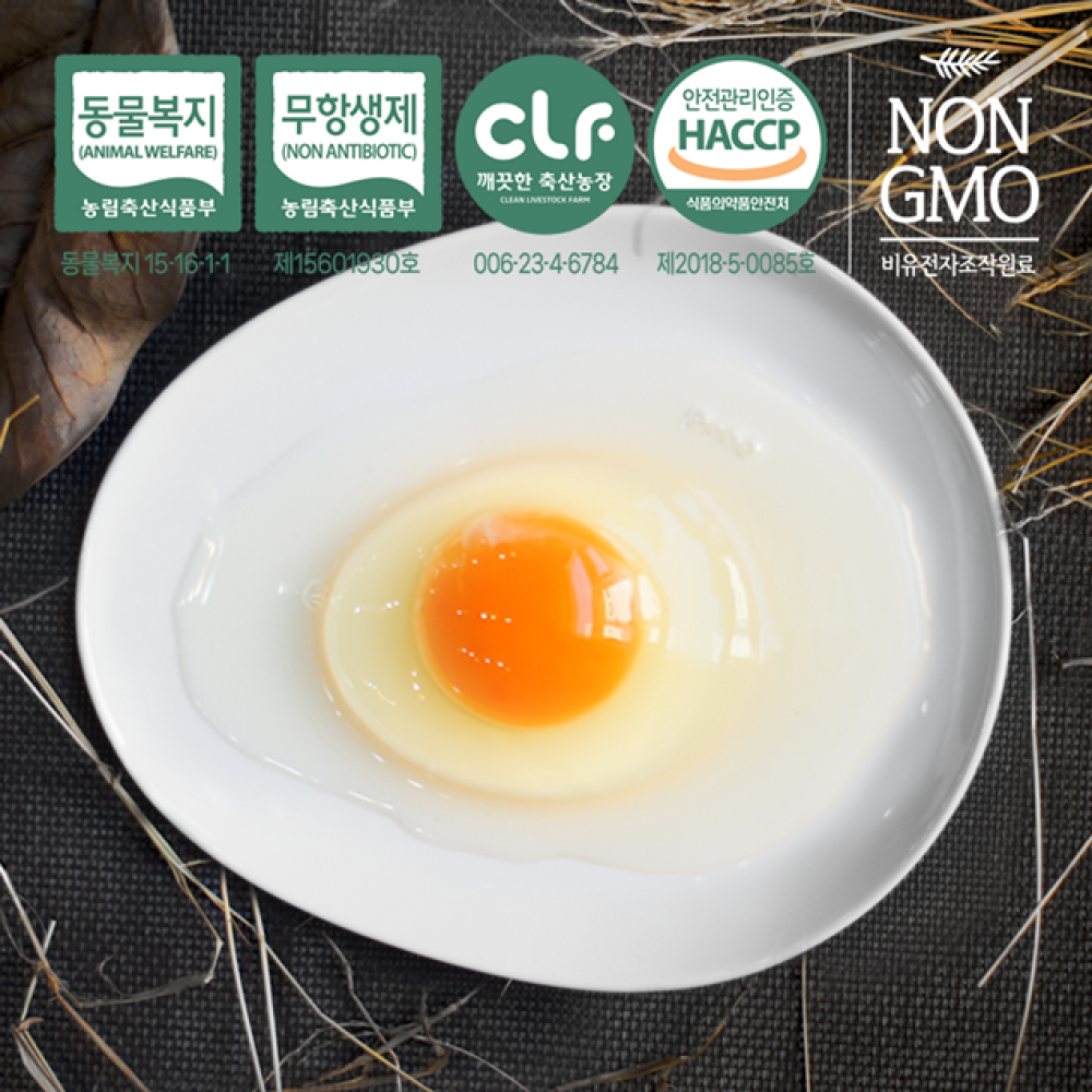 구쁘 옹알옹알 계란 20구(10구*2개입)