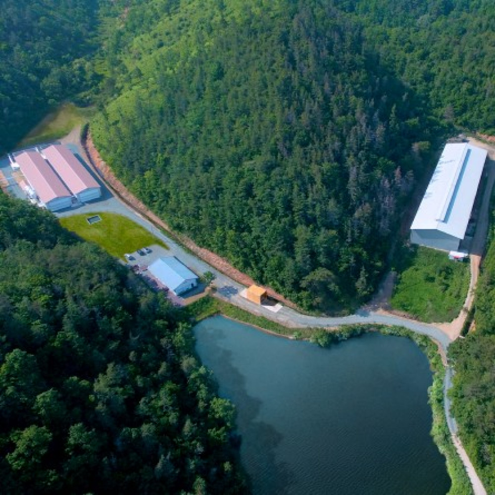 구쁘 옹알옹알 계란 20구(10구*2개입)